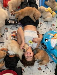 Galvan Goldens